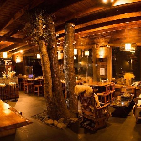 Cabana & Loft El Laurel Темуко Экстерьер фото